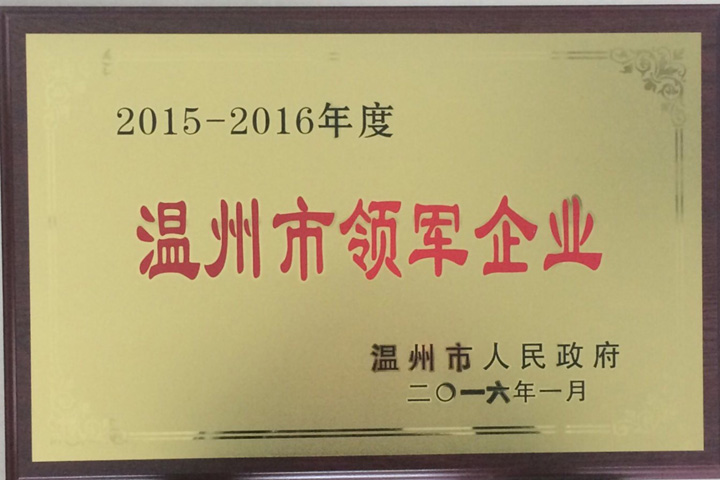 “2015—2016年度温州市领军企业”——浙江开云官方入口登录榜上有名